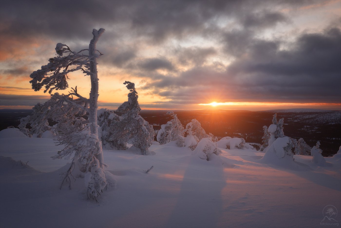 пейзаж, природа, зима, Анатолий Гордиенко