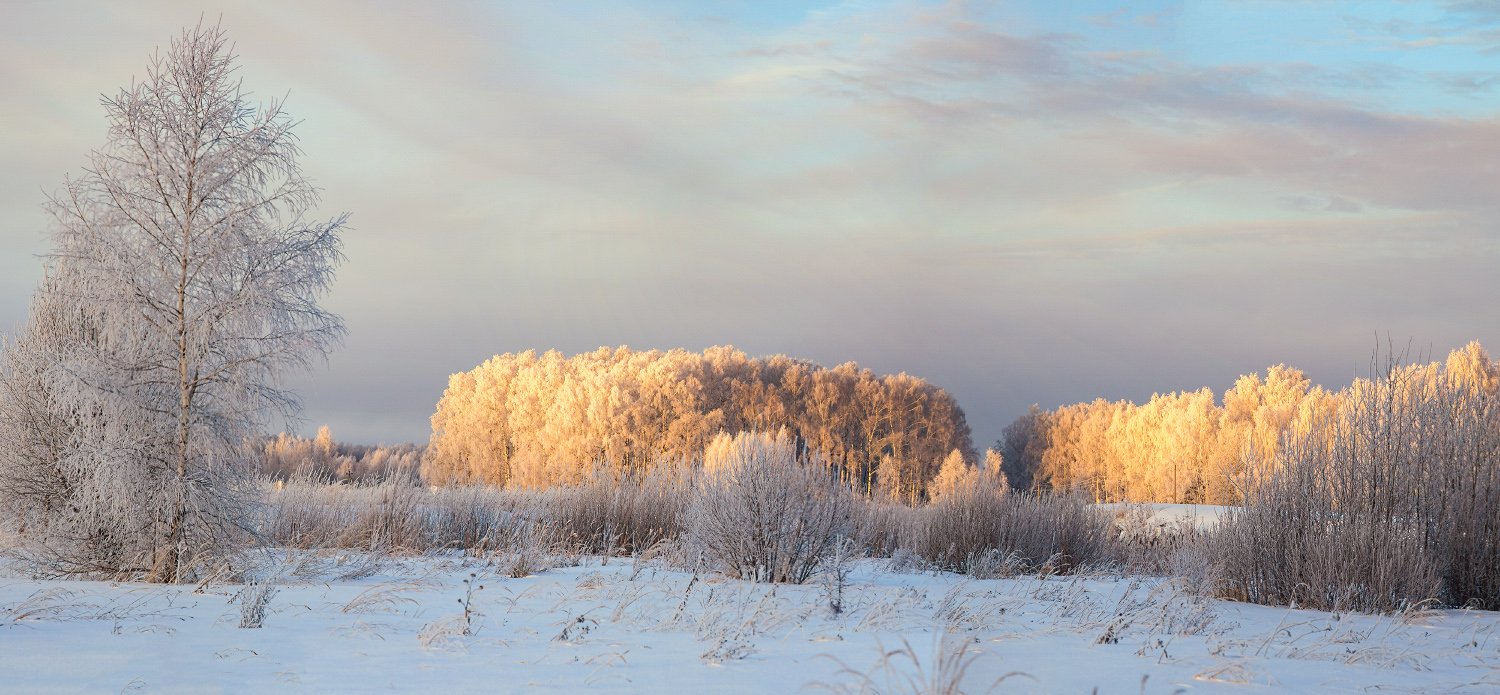февраль утро мороз свет восход, Дмитрий Алексеев