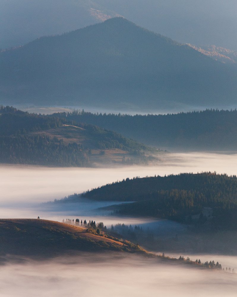 Карпаты, Пейзаж, Туман, Украина, Утро, Александр