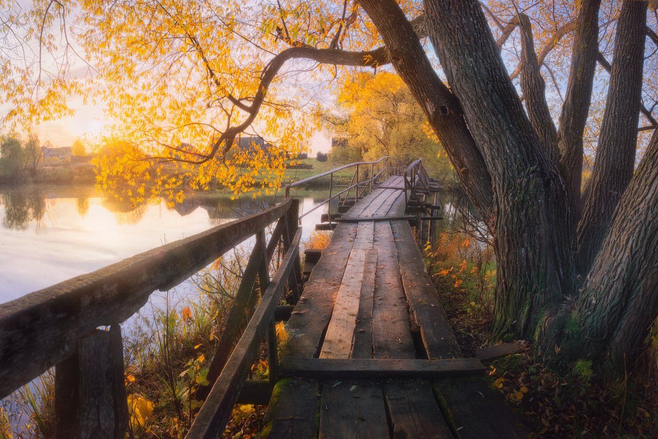 утро, мост, река, осень, Дмитрий Медянцев