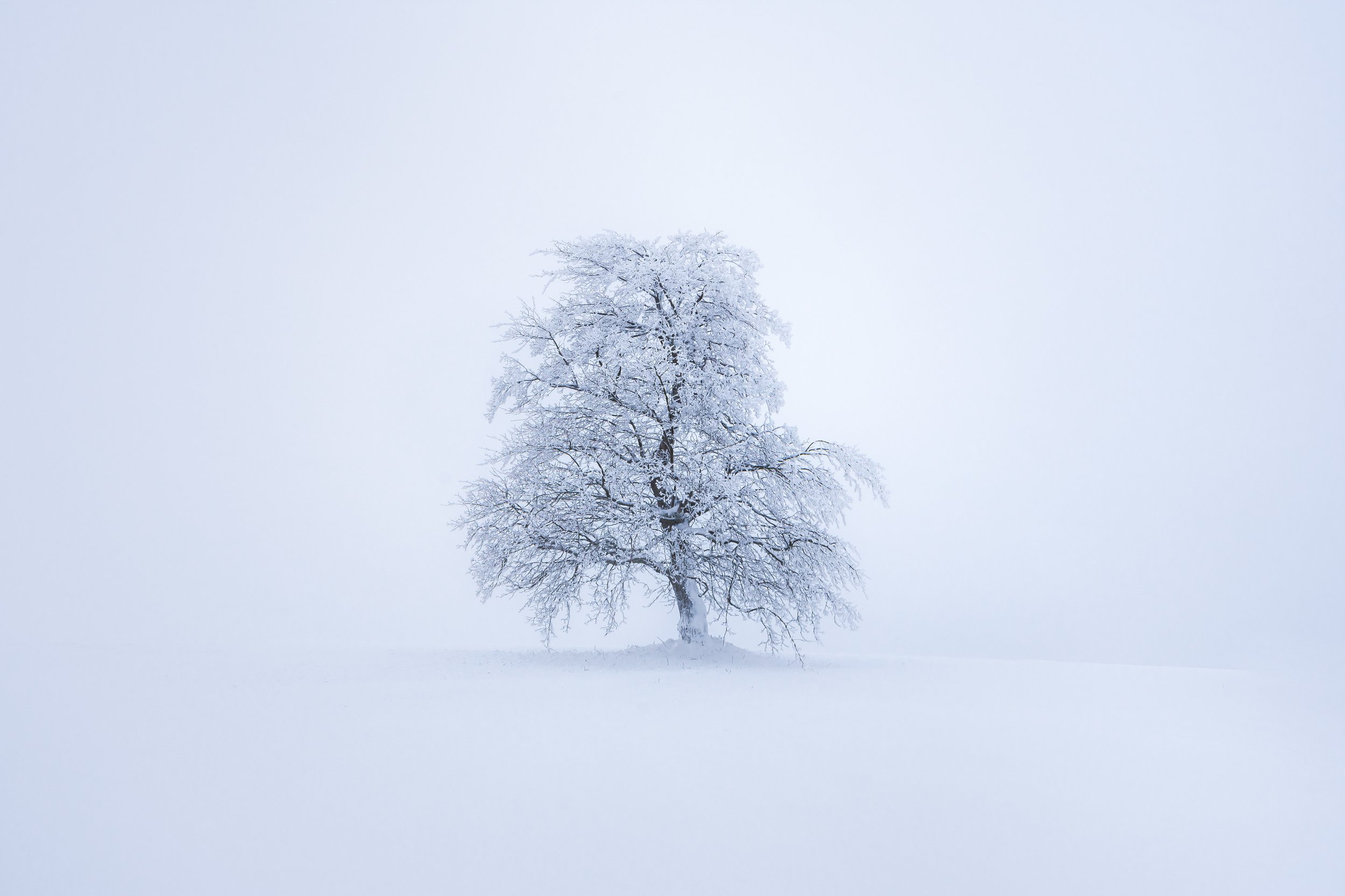 Sunrise, landscape, winter, snow, sun, light, nature, czech republic, fog, tree, mist, Luboš Prchal