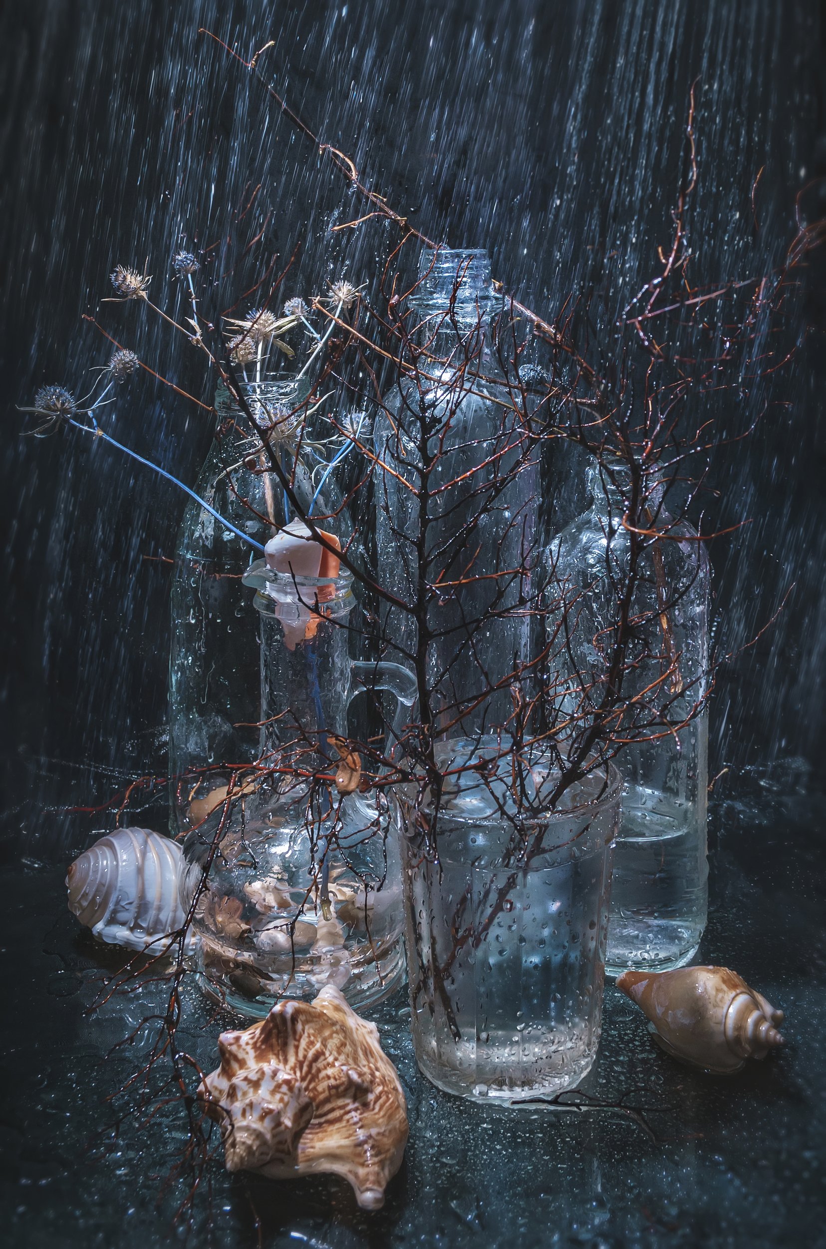 бутылки,стекло,капли,вода,дождь,стихия,холод,синий,ракушки,тёмный, Владимир Володин