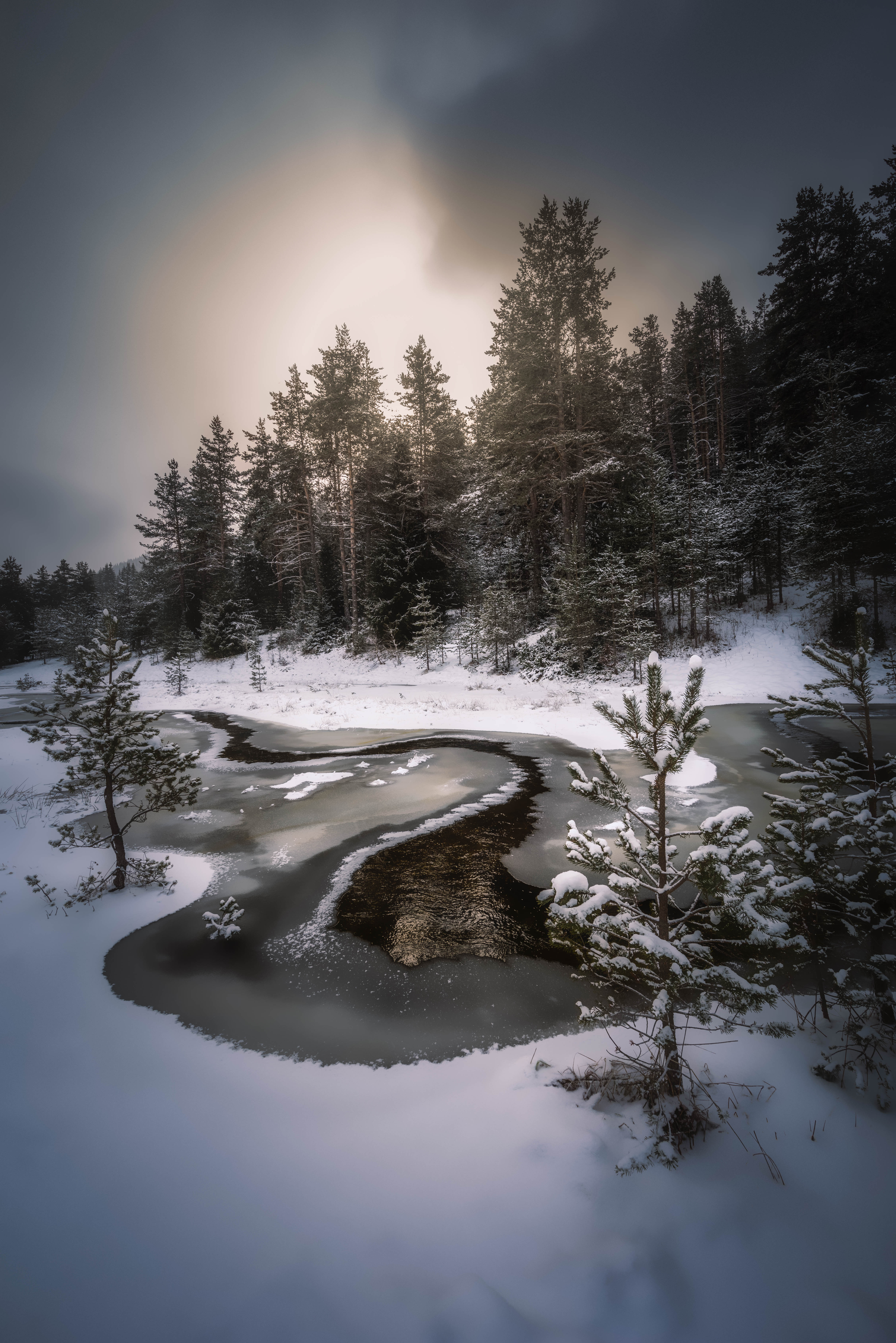 #landscape#nature#winter, Dimo Hristev