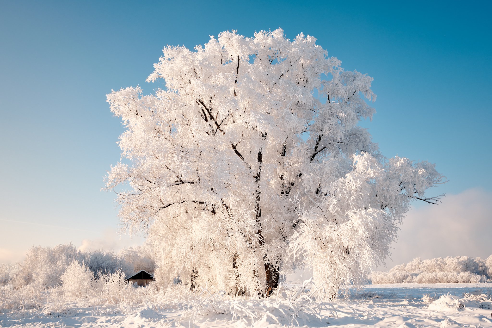 зима, зимний пейзаж, пейзаж ,снег, мороз, winter, fujifilm, Константин Леонтьев