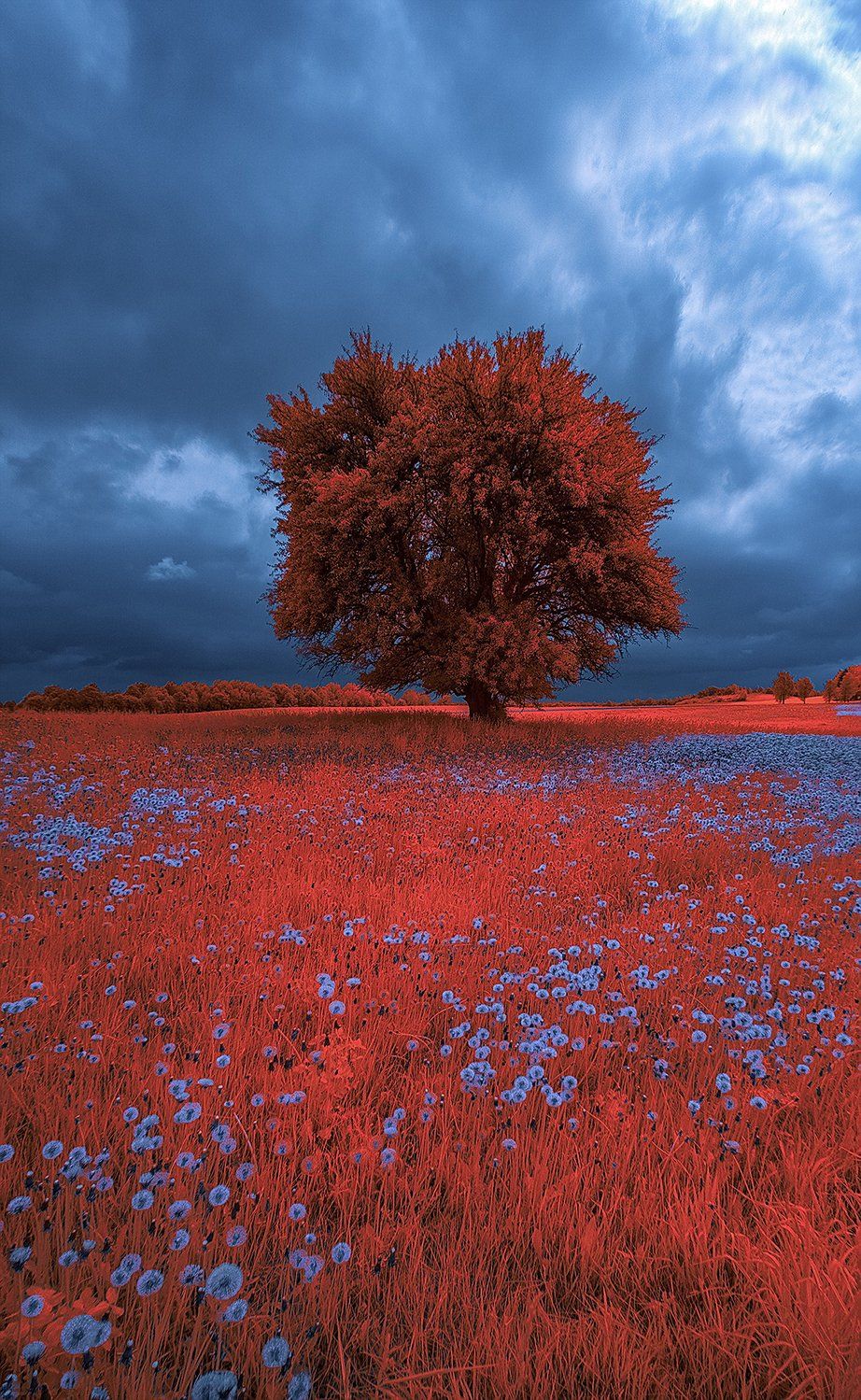 infrared,ик-фото,инфракрасное фото, инфракрасная фотография, пейзаж, весна, Sixten ( Сергей )
