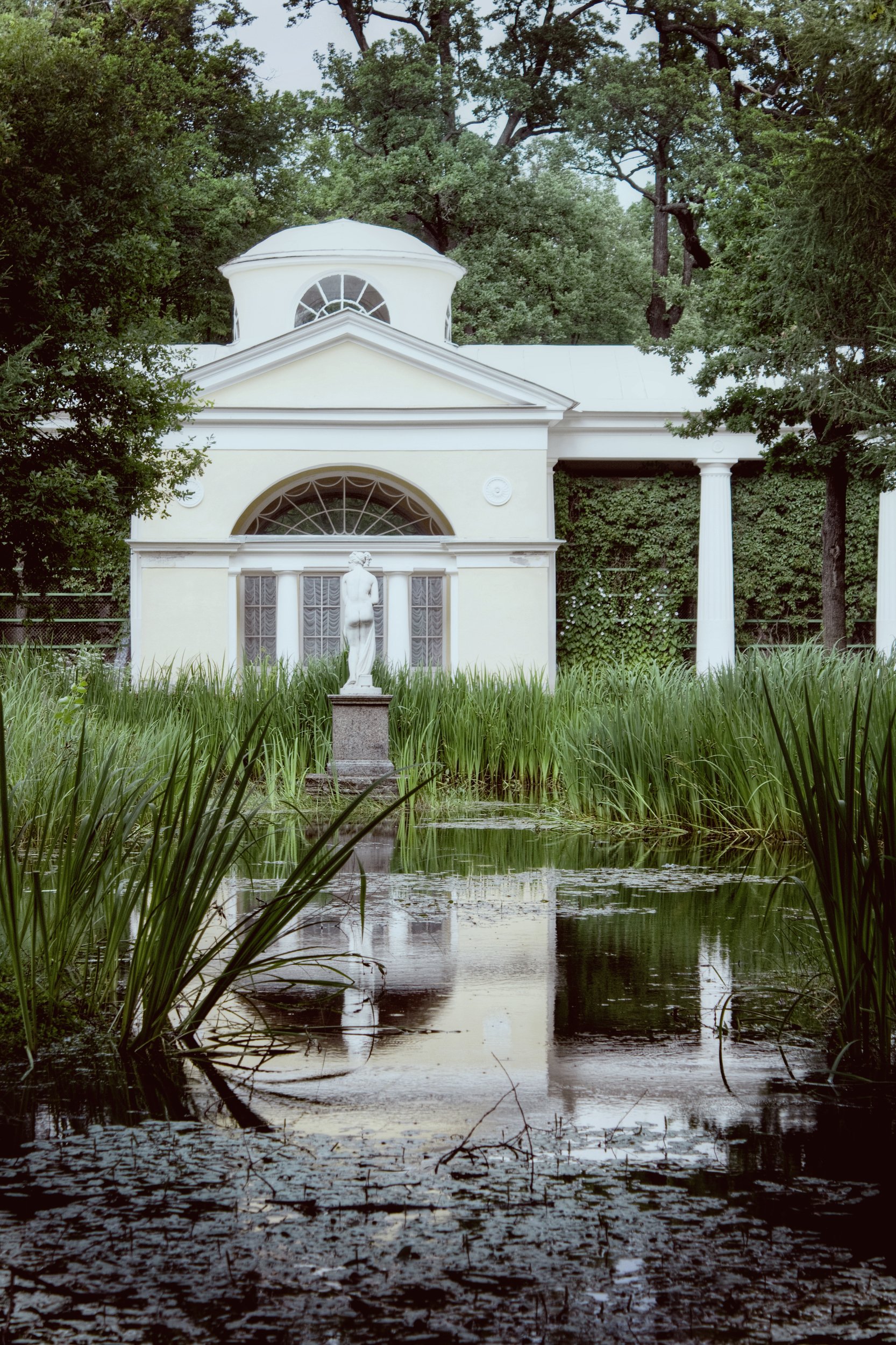 павловск, вода, гармония, зелень, пруд, статуя, Vladimir Kedrov