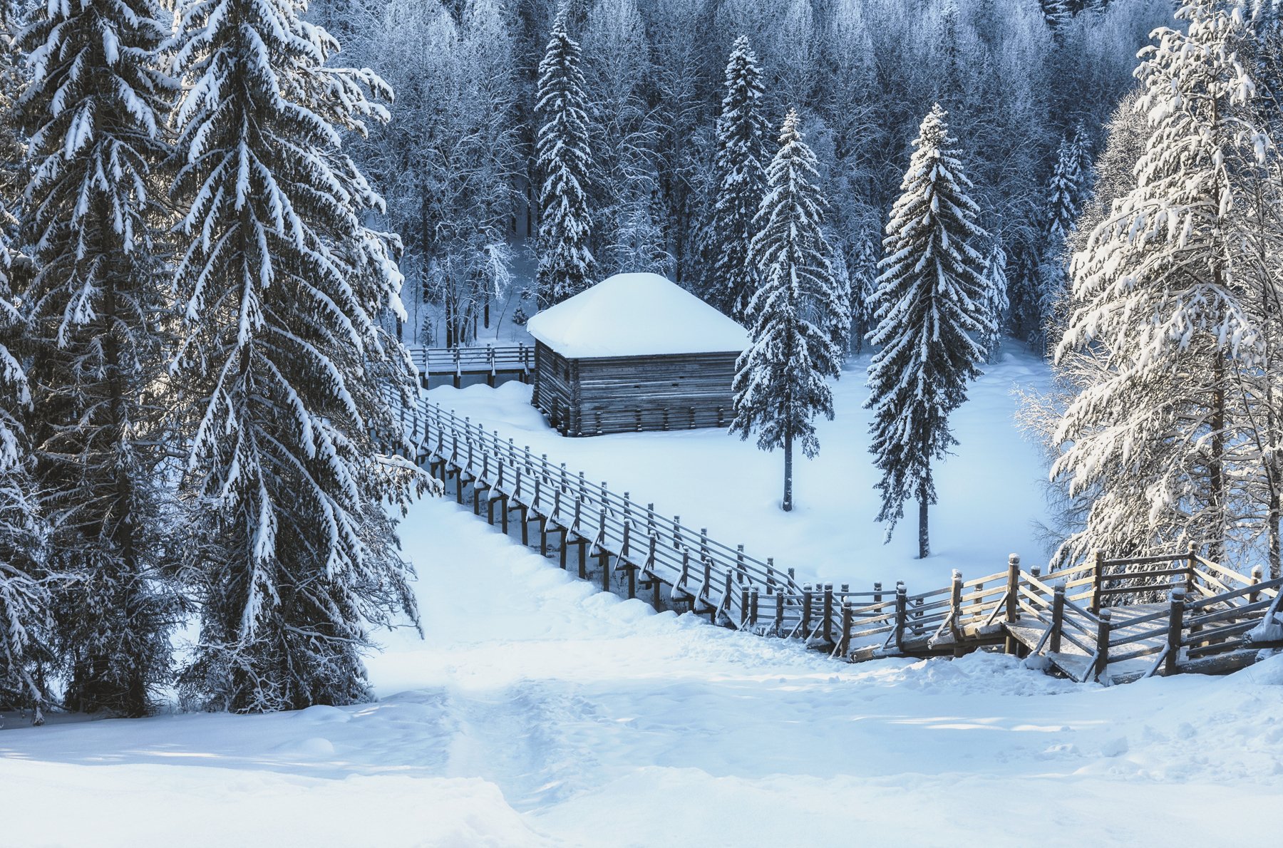 зима мороз синий иней лес деревья сосны ветки снег сугробы мостик дом, Ра Вера