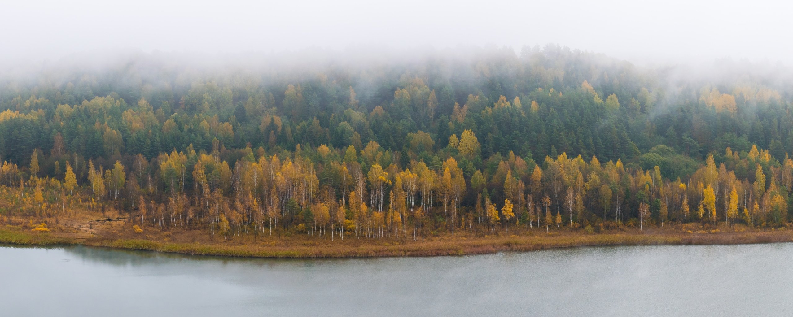 псков изборск мальская мальское озеро природа туман вода осень, Мержанов Дима