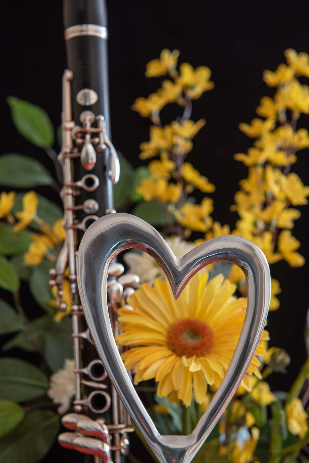 clarinet; lovely; yellow;valentine\'s;, Sibé