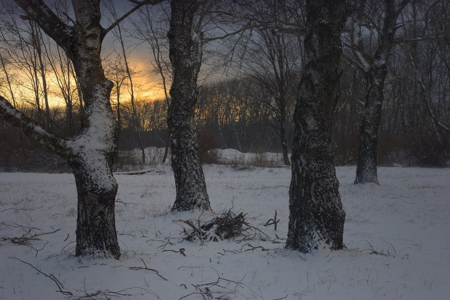 зима утро, Александр Жарников