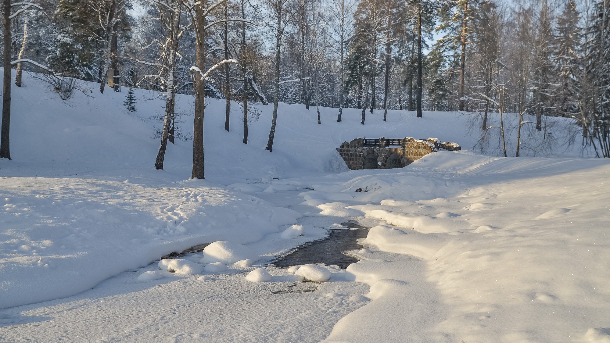 зима, мороз, снег, красота, тишина, парк, питер, Валерий Верещако