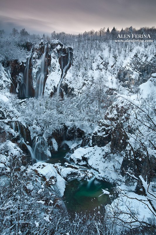 , Alen Ferina (Ален Ферина)