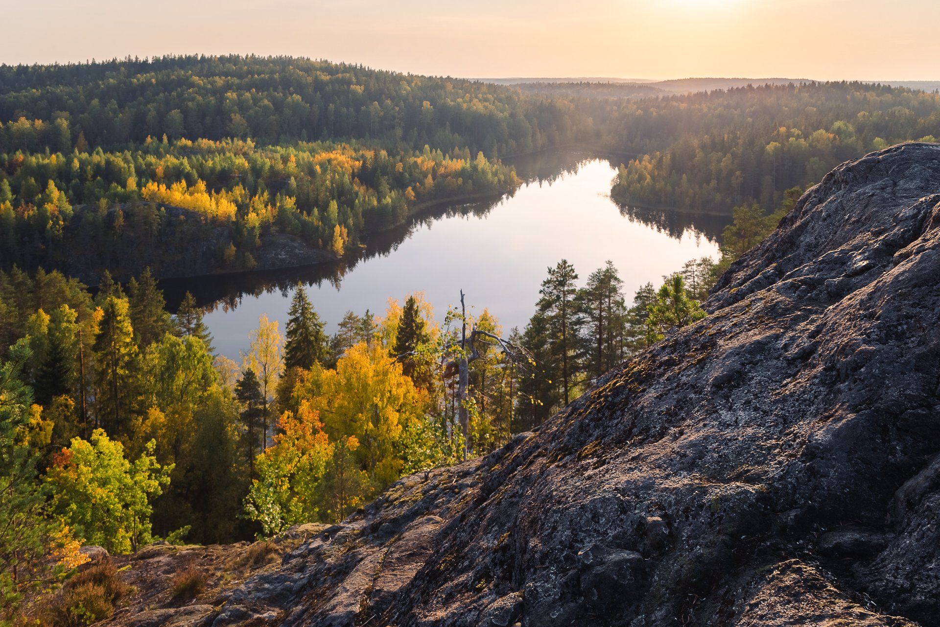 ленинградская область, ленобласть, Александр Писарев