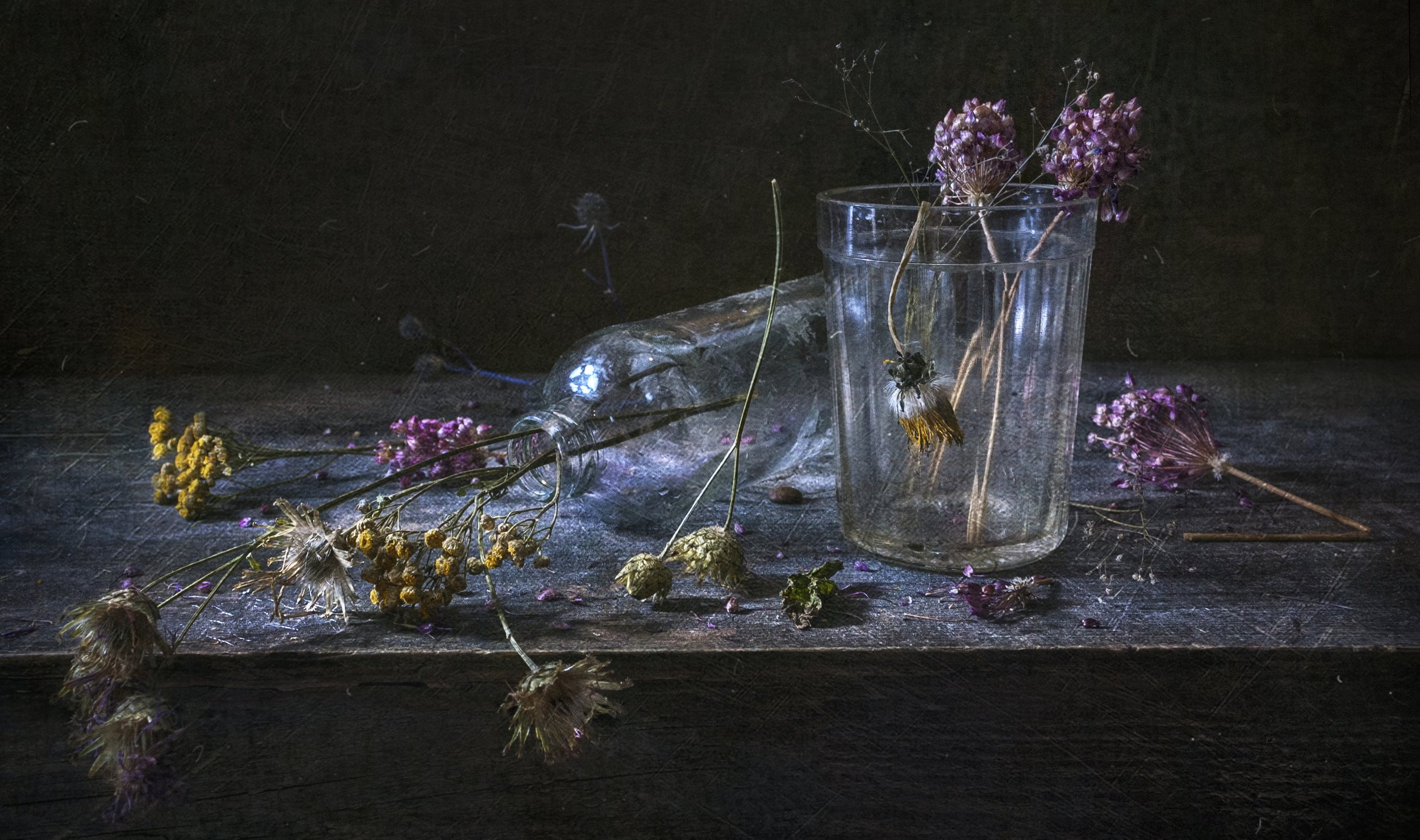стекло,стакан,бутылка,травы,сухие,воспоминания,цветы,гербарий,дерево, Владимир Володин