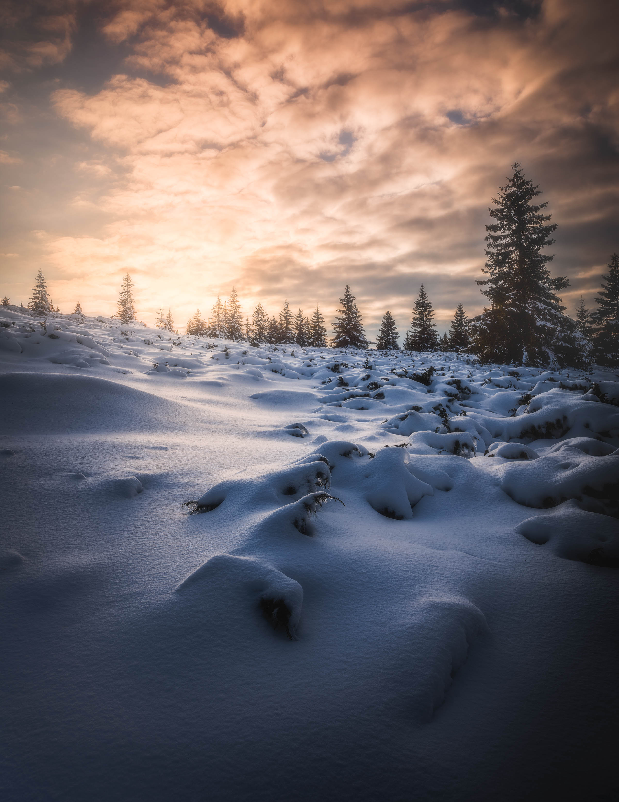 #landscape#nature#winter, Dimo Hristev