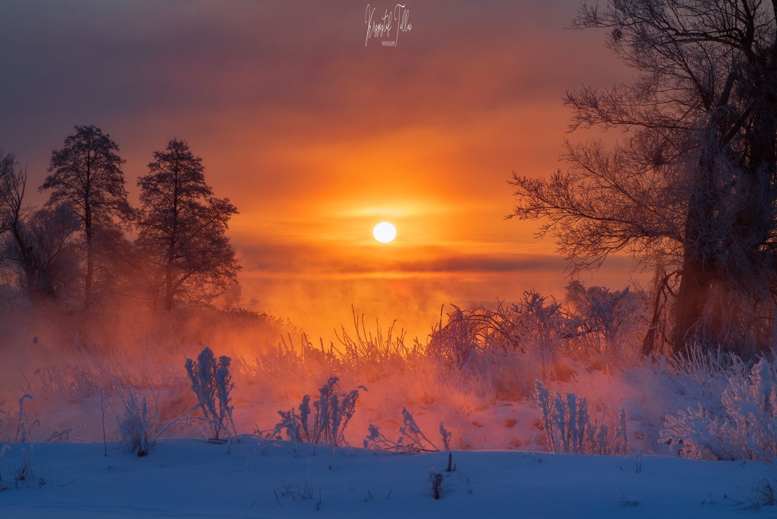 winter, sunrise, snow, fog, atmosphere, landscape, the Gwda river, light, sky, clouds, reflection in the water, nikon, frost, trees, dawn, nature, Krzysztof Tollas