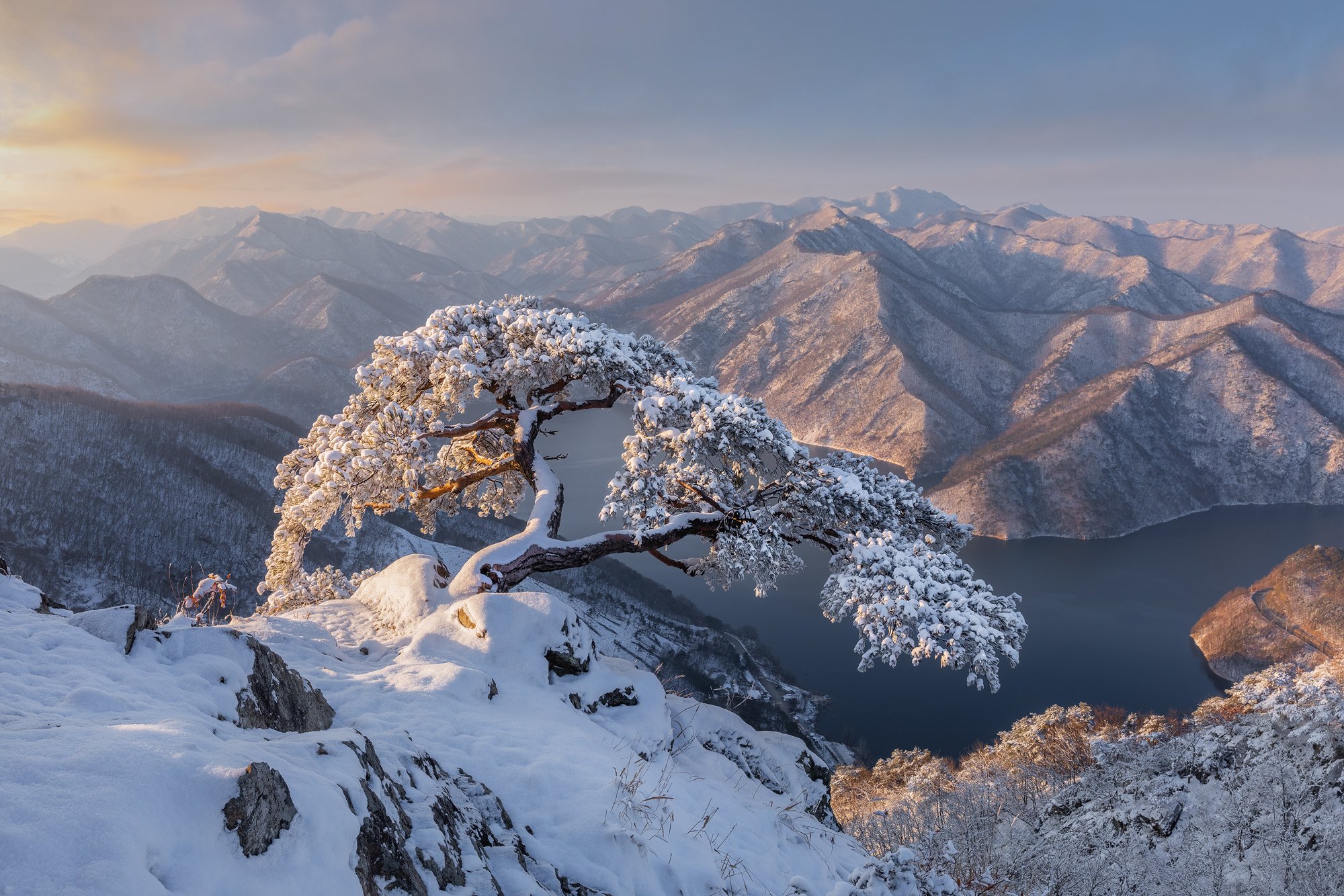 mountains,peak,hiking,winter,light,,snow,cold,pine,tree,aloneold,alone, Jaeyoun Ryu