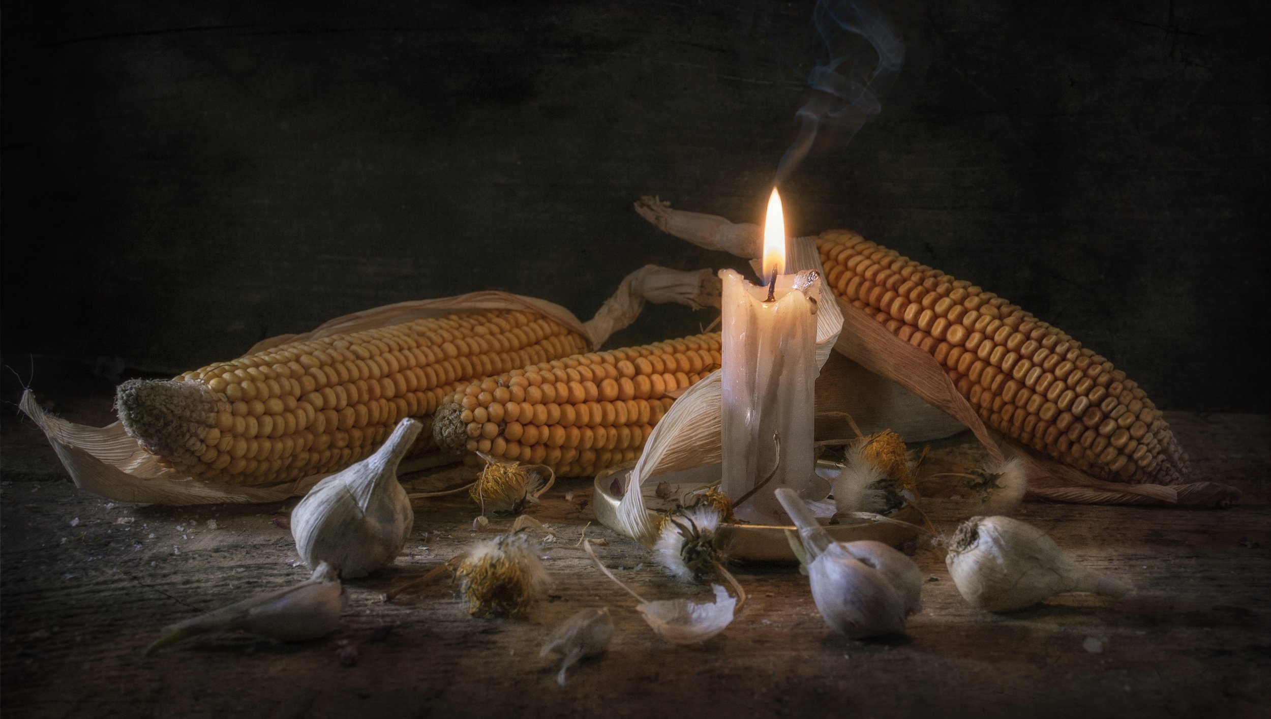 свеча,горение,кукуруза,чеснок,тепло,старый,травы,огарок, Владимир Володин