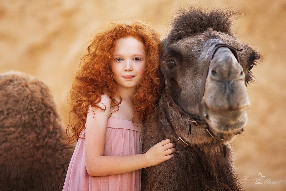 верблюд, рыжая, девочка, портрет, храбрая сердцем, кудряшки, песок, лето, животное, Мила Шелест