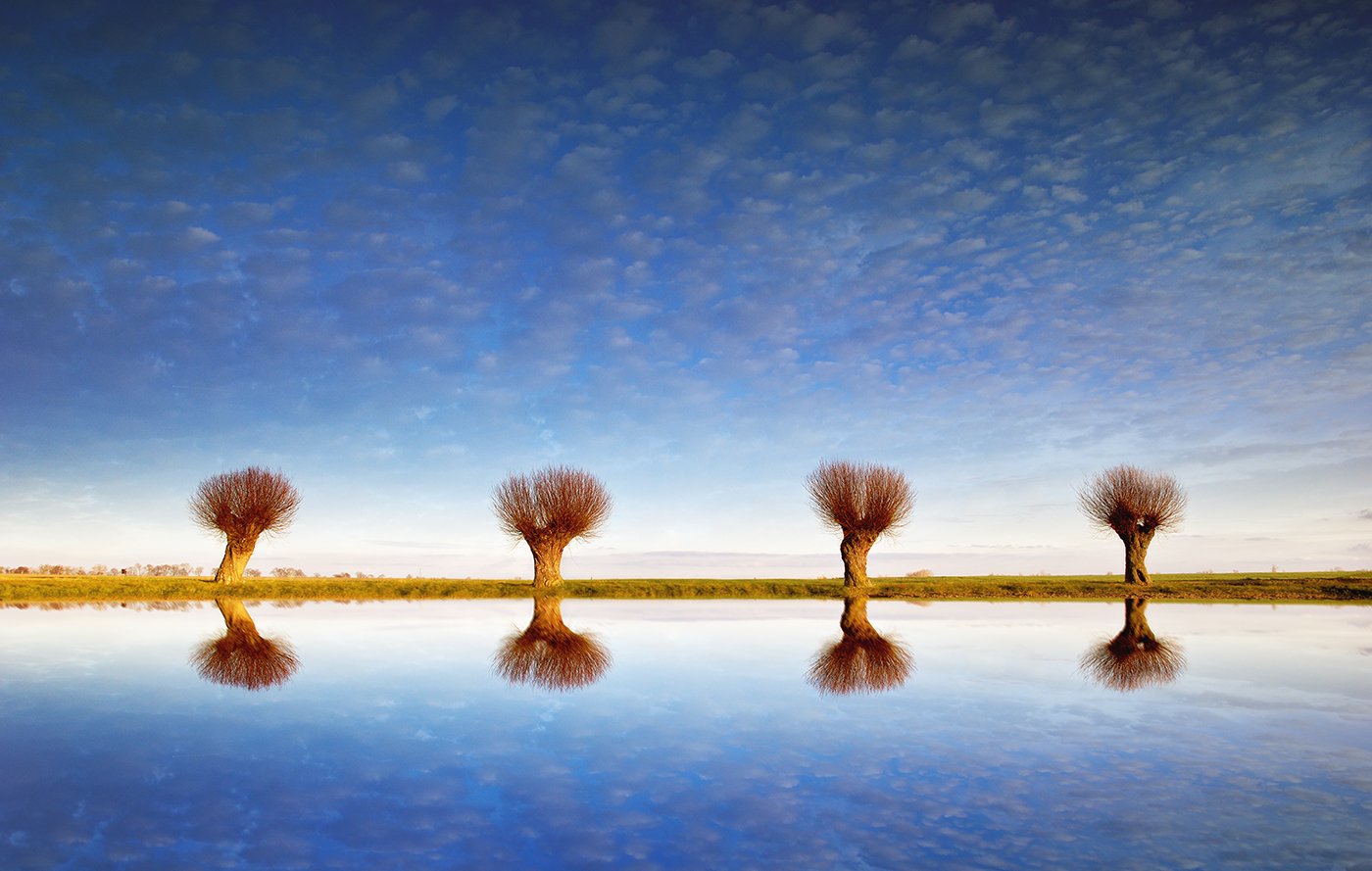 tree sky cloud mirror , Lukasz Zugaj