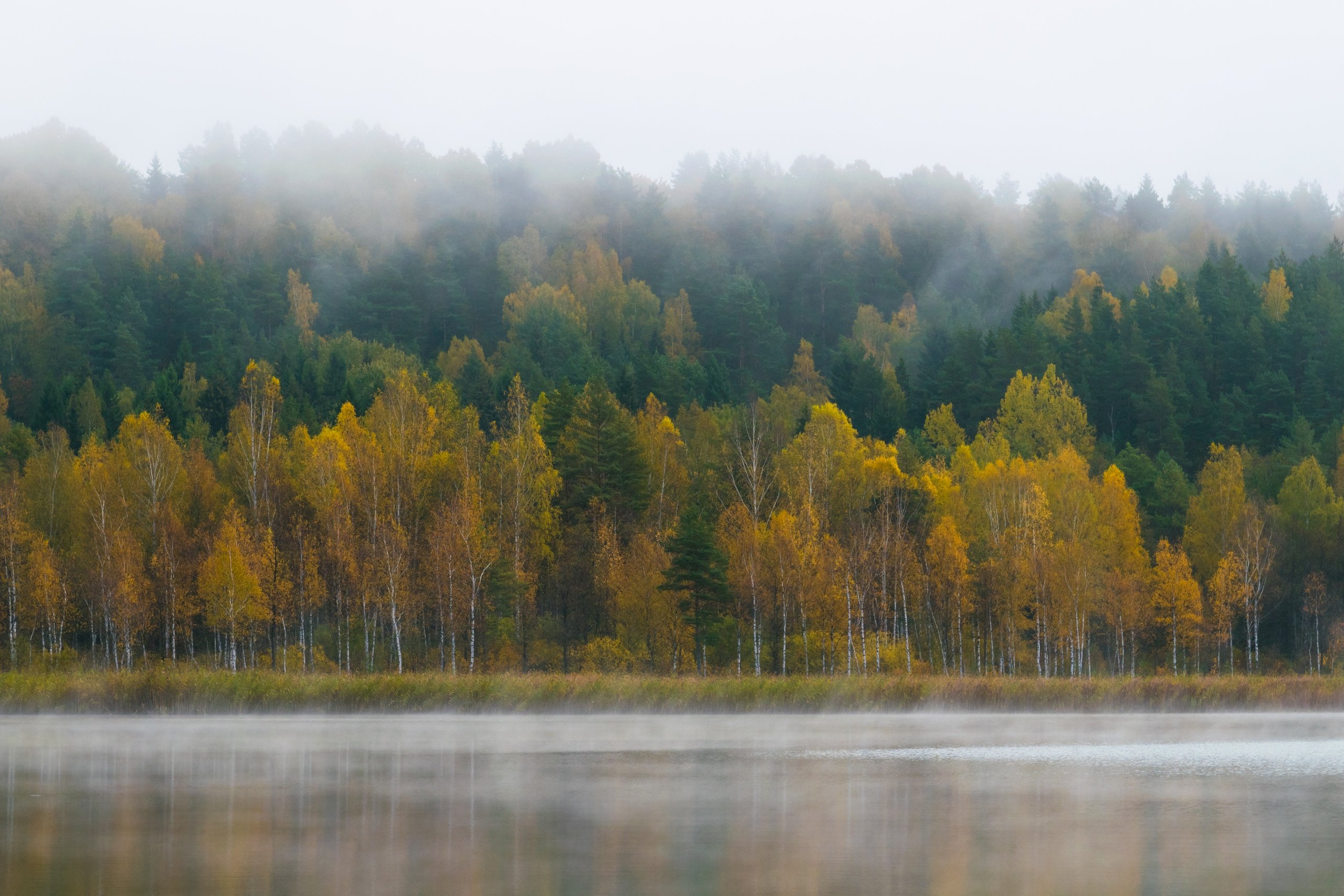 озеро изборск мальская псков природа туман вода осень, Мержанов Дима