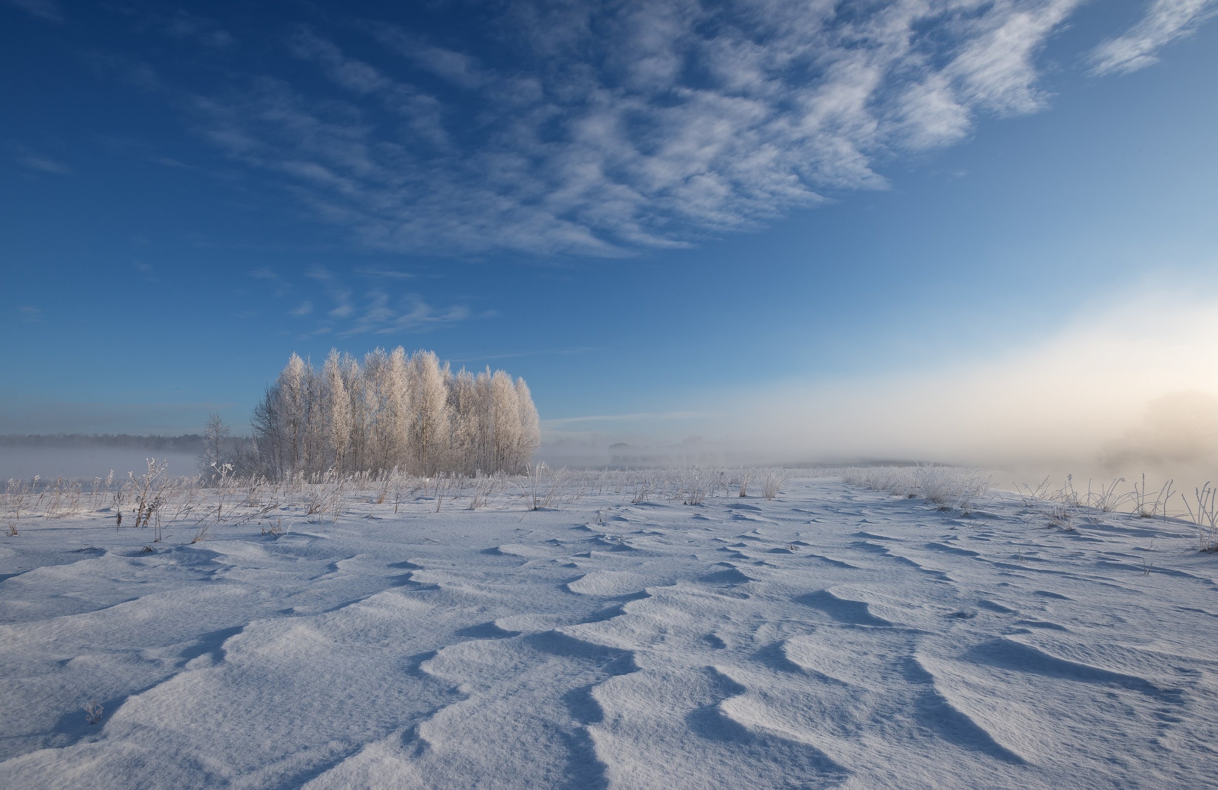 зима, мороз, утро, свислочь, туман, иней, пейзаж, Александр Гвоздь