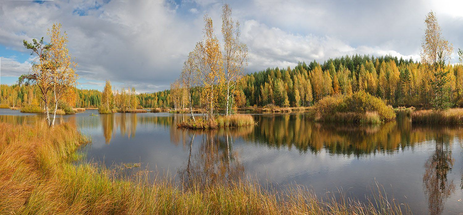 болото, осень, панорама, пейзаж, Алексей Чистяков
