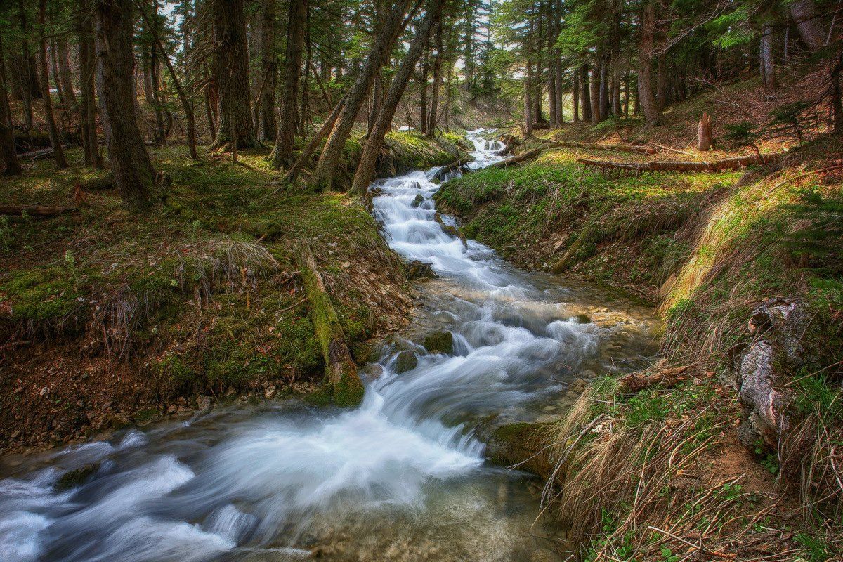 лагонаки, река молочка, MiShanya