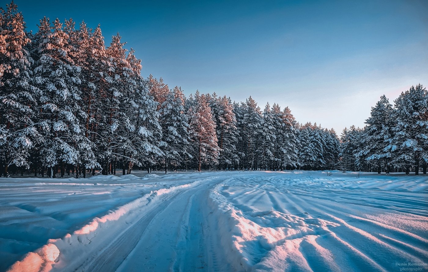 #snow #winter #nature #landscape #forest, Romanov Denis