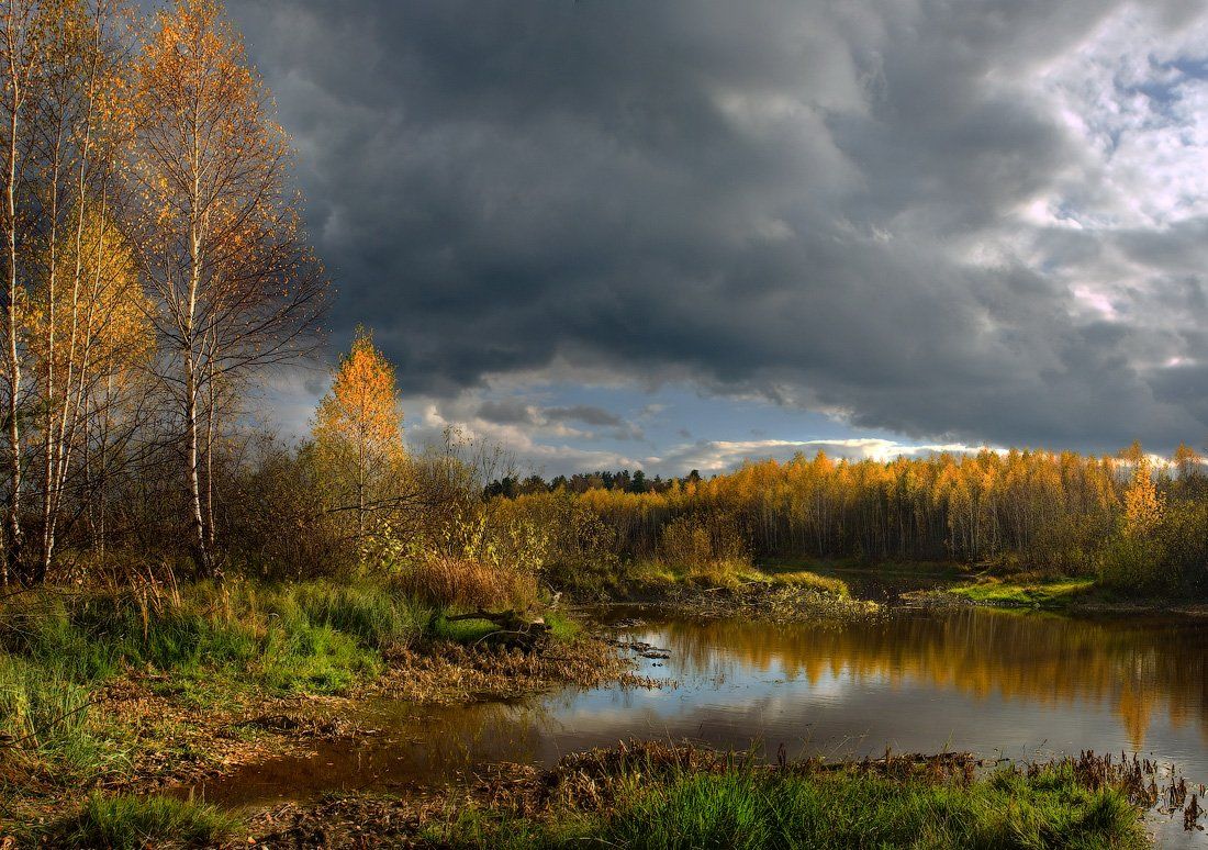 Художественная природа. Дмитрий Алексеев осенние пейзажи. Дмитрий Алексеев фотохудожник. Осенние фотопейзажи России. Русская природа осенью.