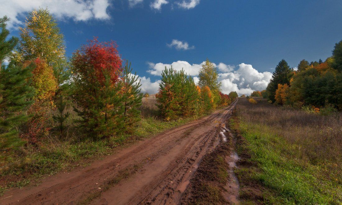 дорога, колея, деревья, лес, краски, осень, облака, Георгий Машковцев