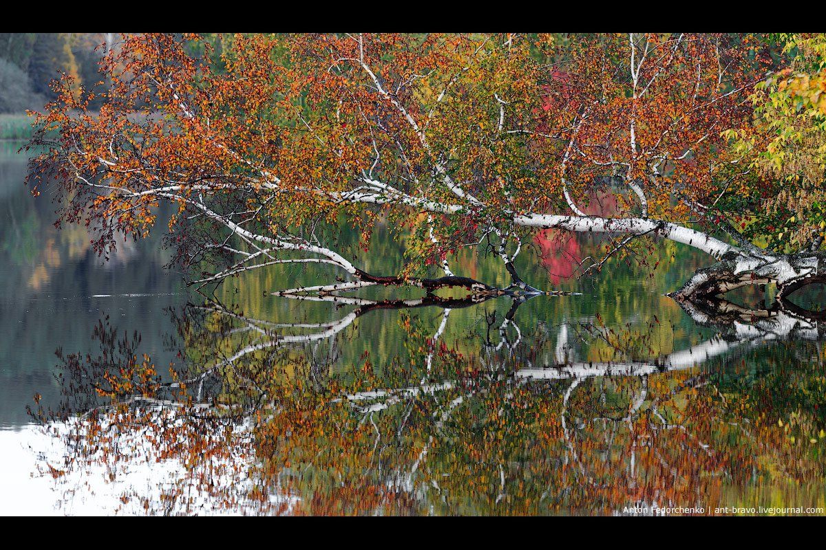 autumn, colors, reflection, Anton Fedorchenko