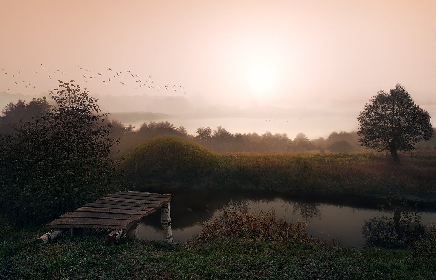 осень, восход, птицы, Сергей Хромов