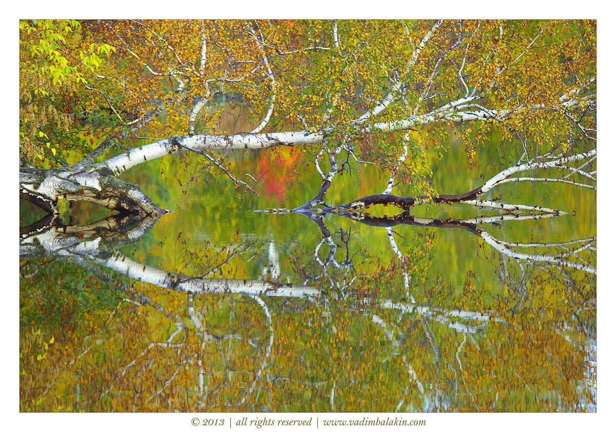 осенний пейзаж, осенняя листва, осень, отражение, средний урал, урал, Vadim Balakin