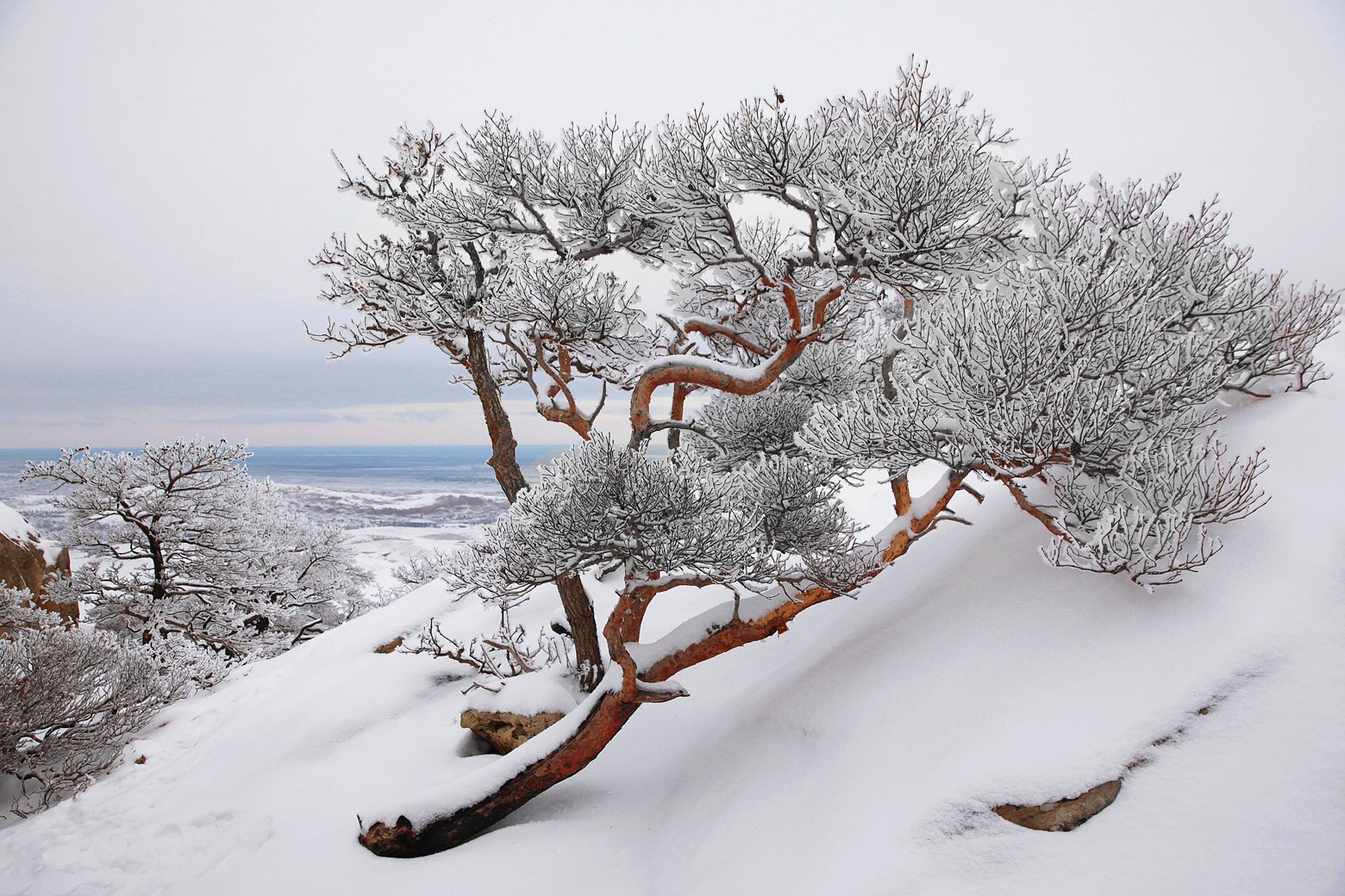 Зимние пейзажи Дагестана
