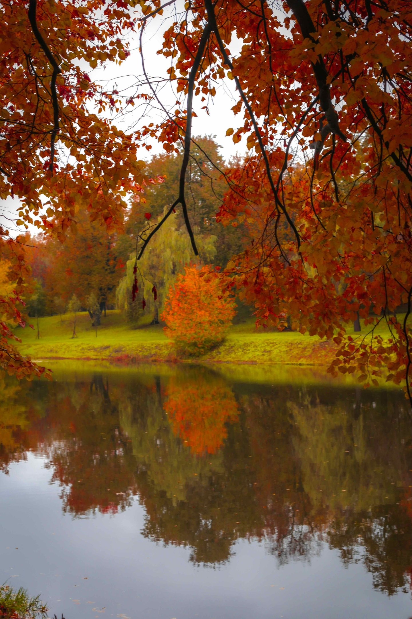 золотая осень, осень ,пейзаж, природа, Julia Kaissa