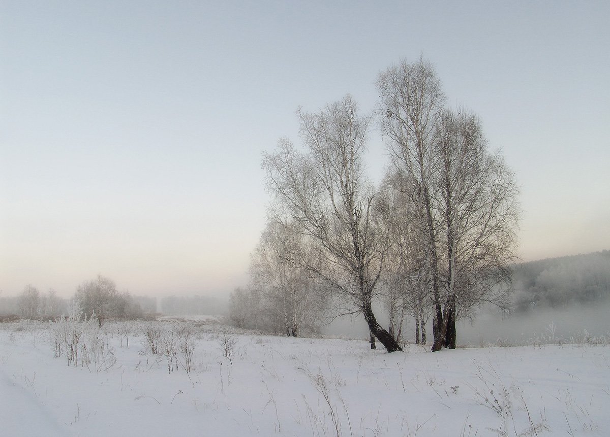 Зима, Туман, Svetlana Popova