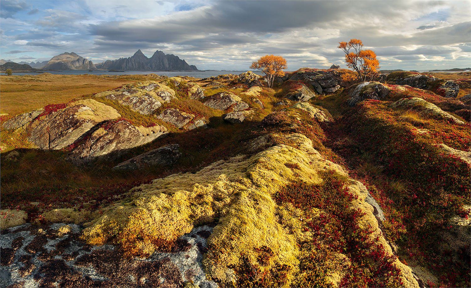 норвегия, лофотены, Yury Pustovoy (artphoto-tour.com)