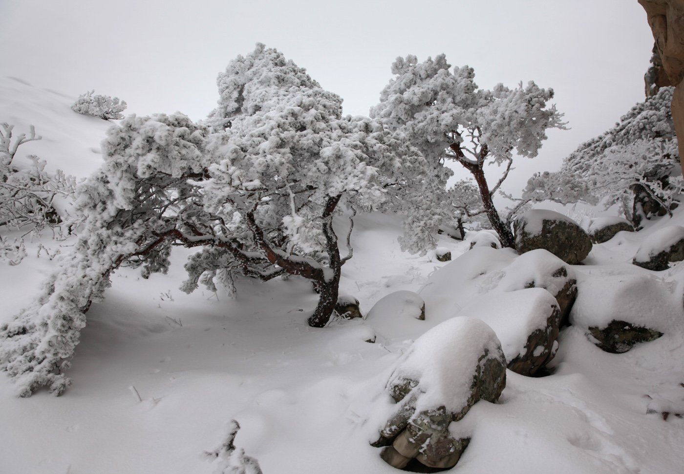 зима,горы,вечер,снег,пейзаж,природа,дагестан.., Marat Magov
