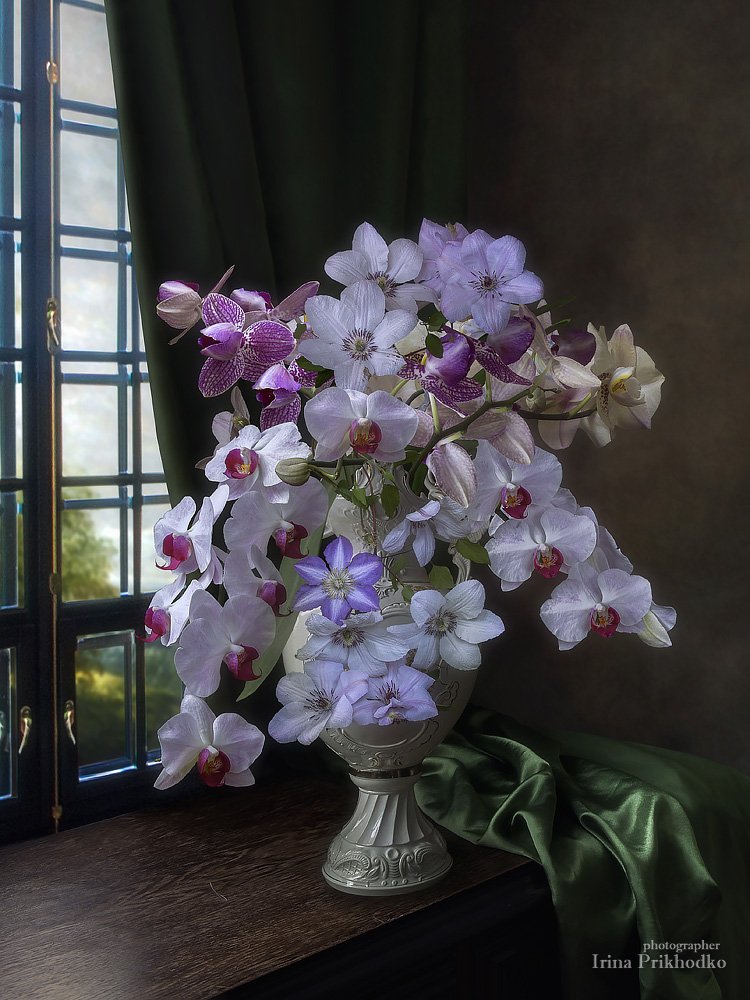 натюрморт, цветы, букеты, орхидеи, клематис, художественное фото, Ирина Приходько
