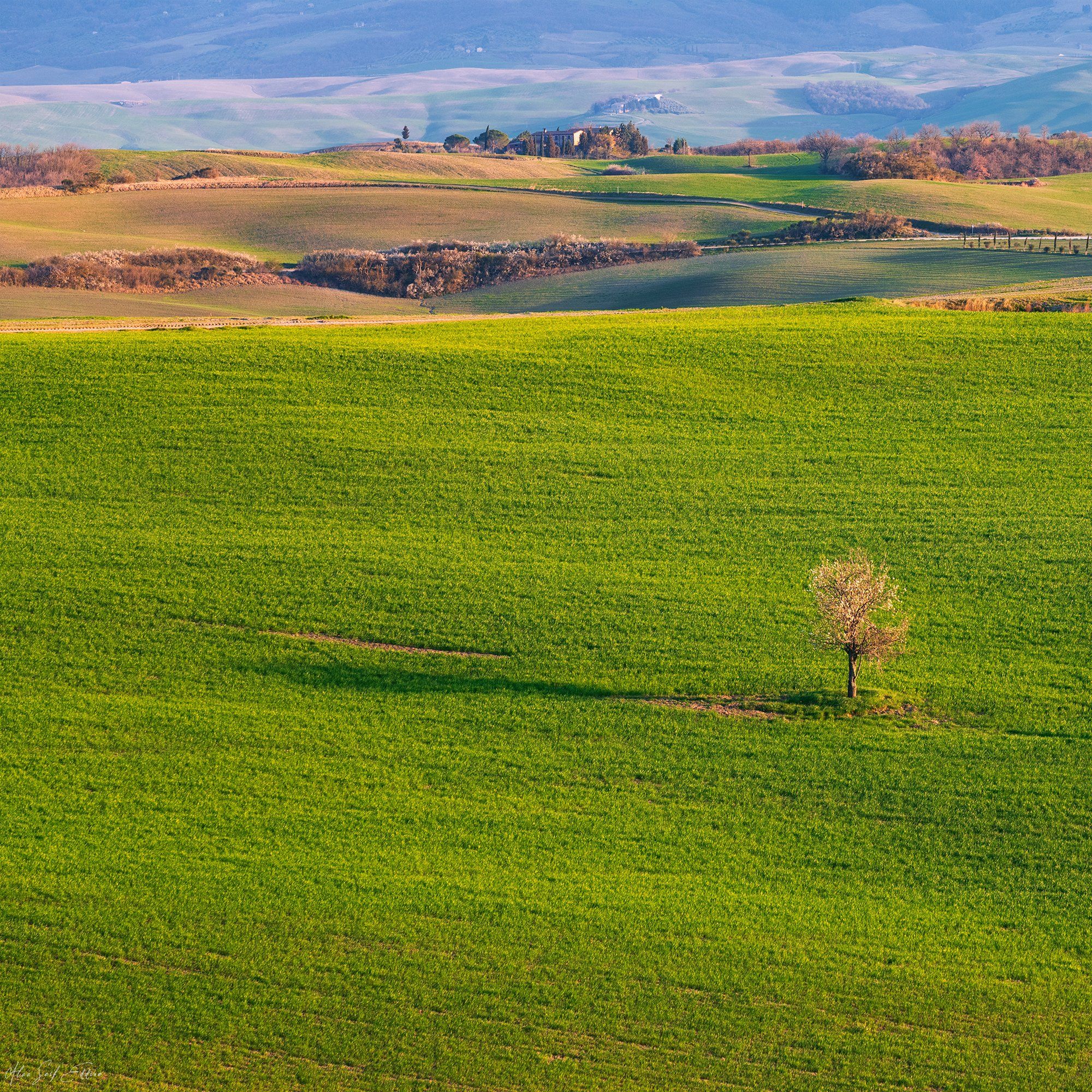 landscape, green, tuscany, italia, Alaa Seif Eddine