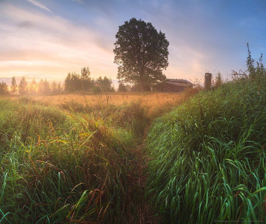 Тропинка в лето. Photographer Maksim Slastnikov