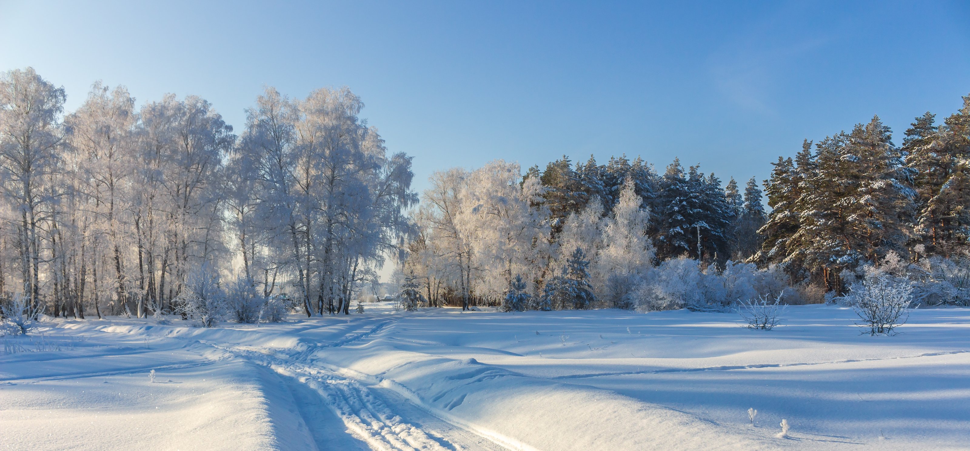 снег, природа, мороз, лес, иней, зима, Руслан Востриков