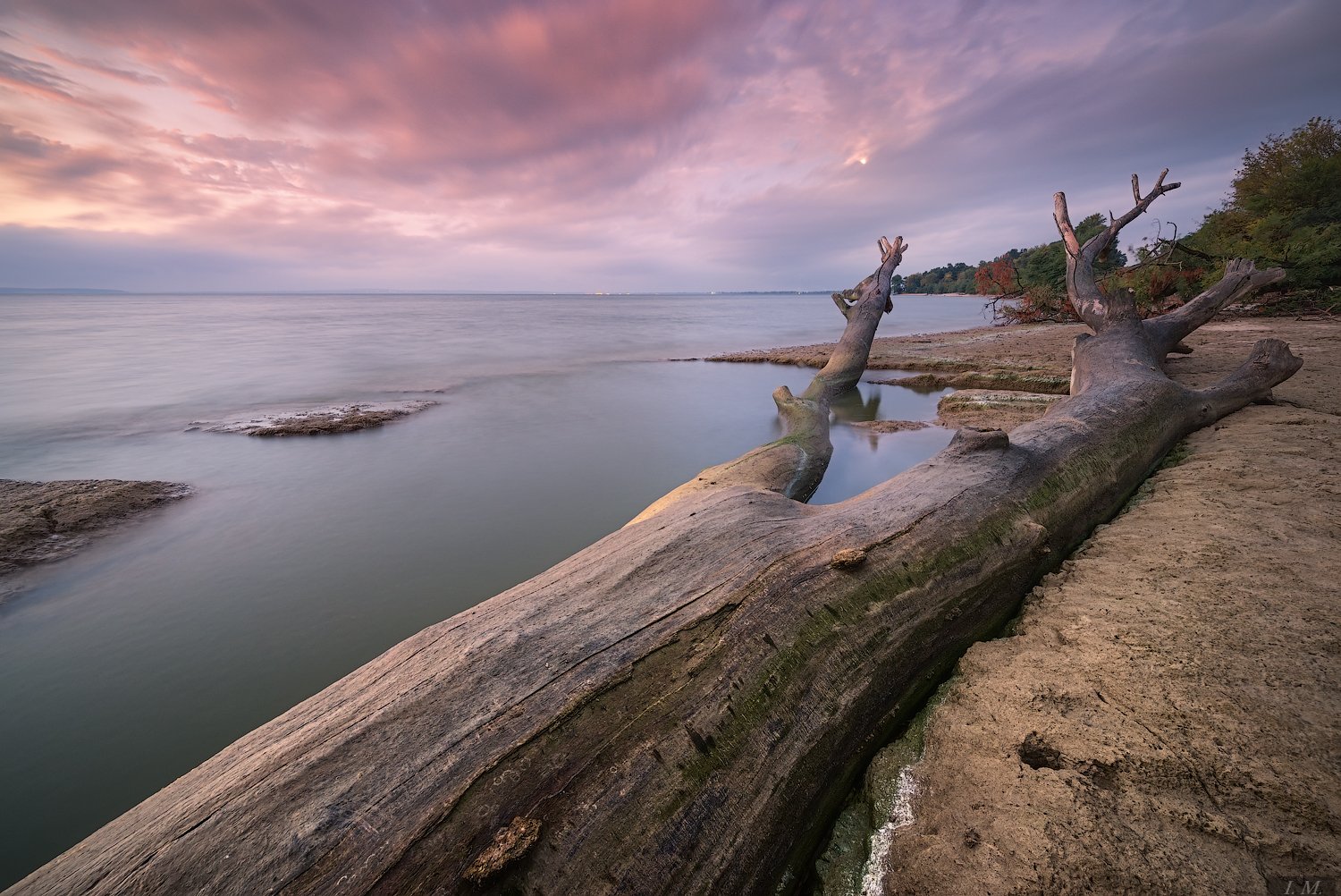 море, вечер, пейзаж, дерево, пляж, длинная выдержка, вода, небо, луна, покой, evening, sea, tree, wood, sand, moon, long exposure, water, clouds, sky, seascape, rest, colors, Ivan Maljarenko