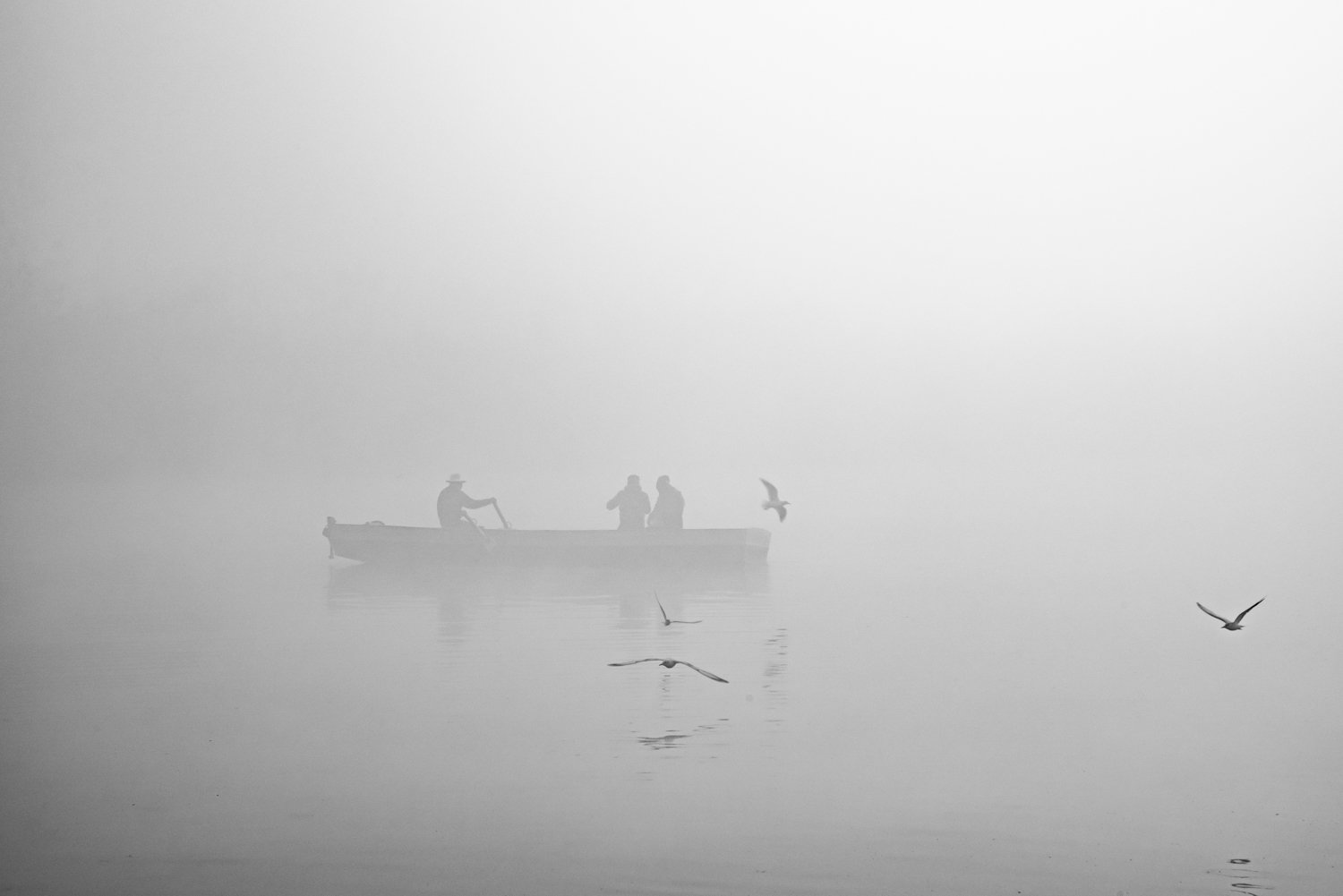 gulls delhi india bnw monochrome motion still, Chetan Verma