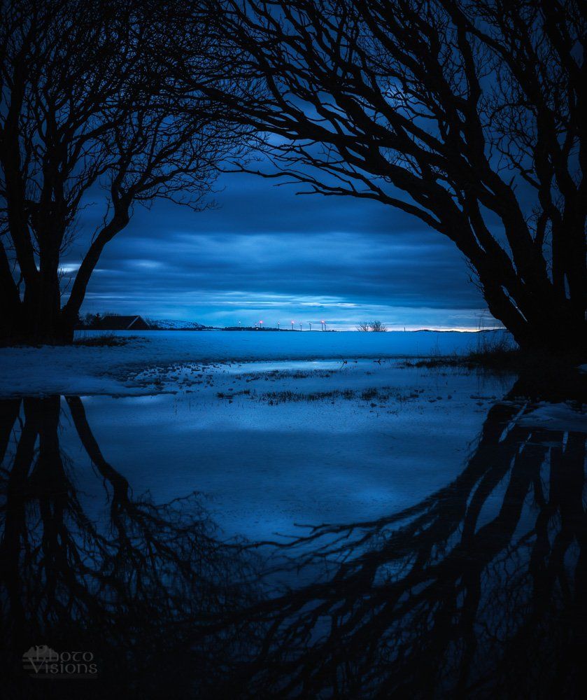 trees,night,blue hour,dark,circle,reflections,composition, Adrian Szatewicz
