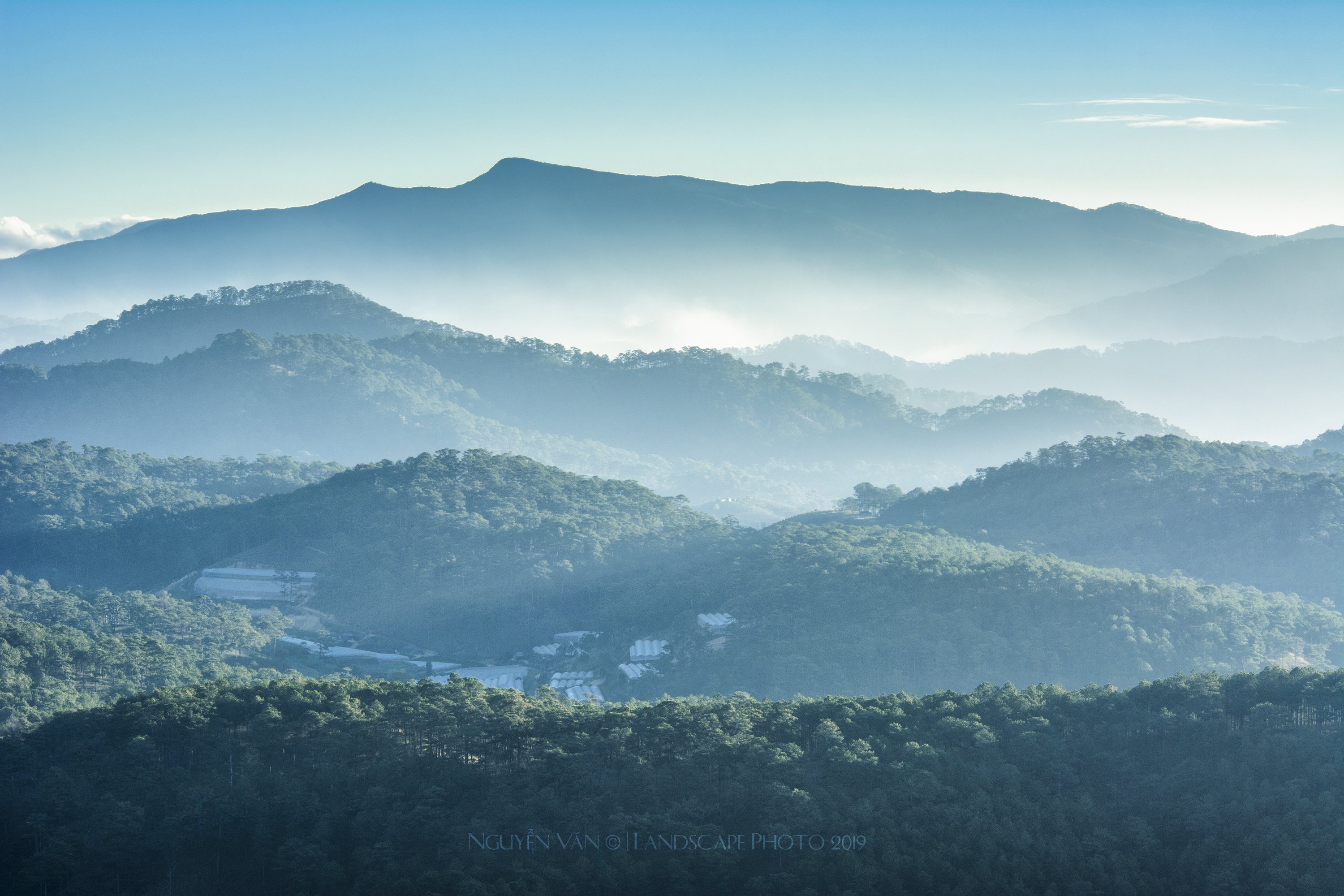 Fog, Van Nguyen