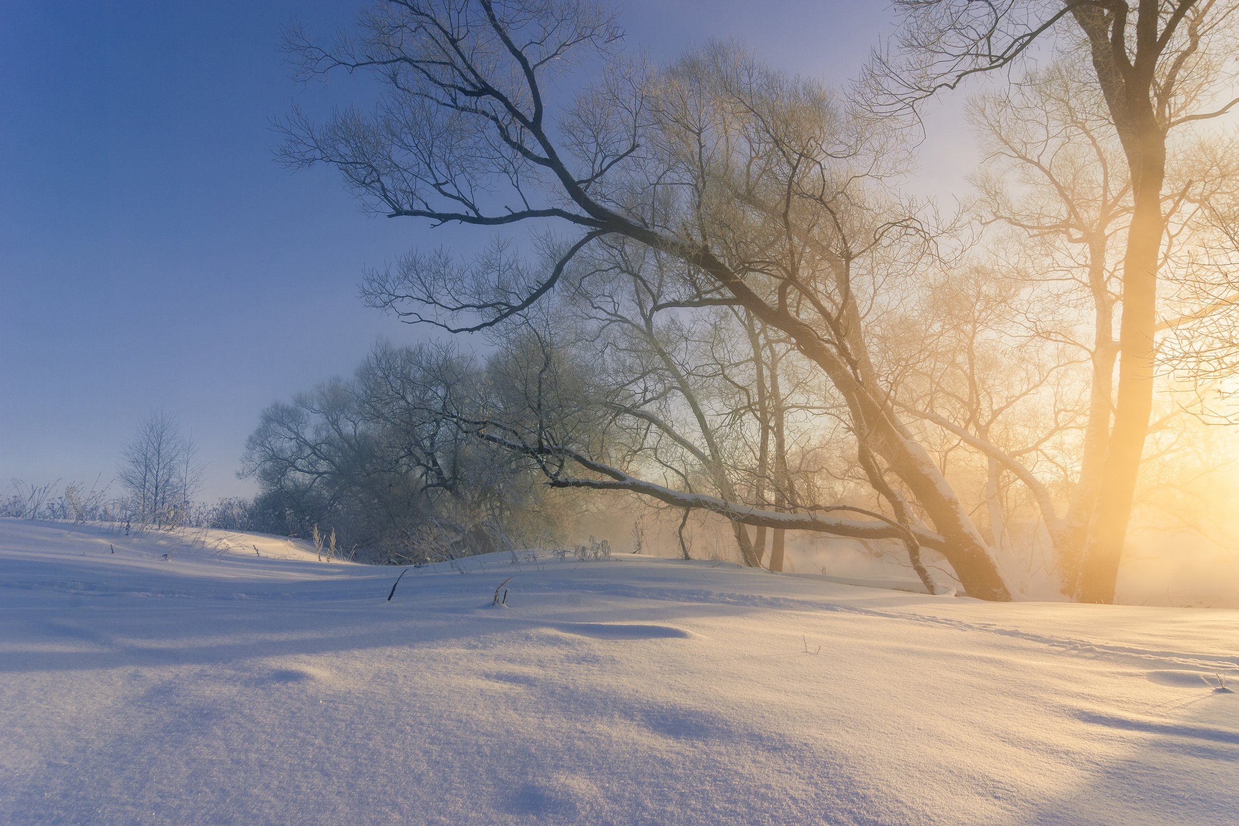 туман, московская область, утро, природа, пейзаж, зима, мороз, солнце, Александр Кыров
