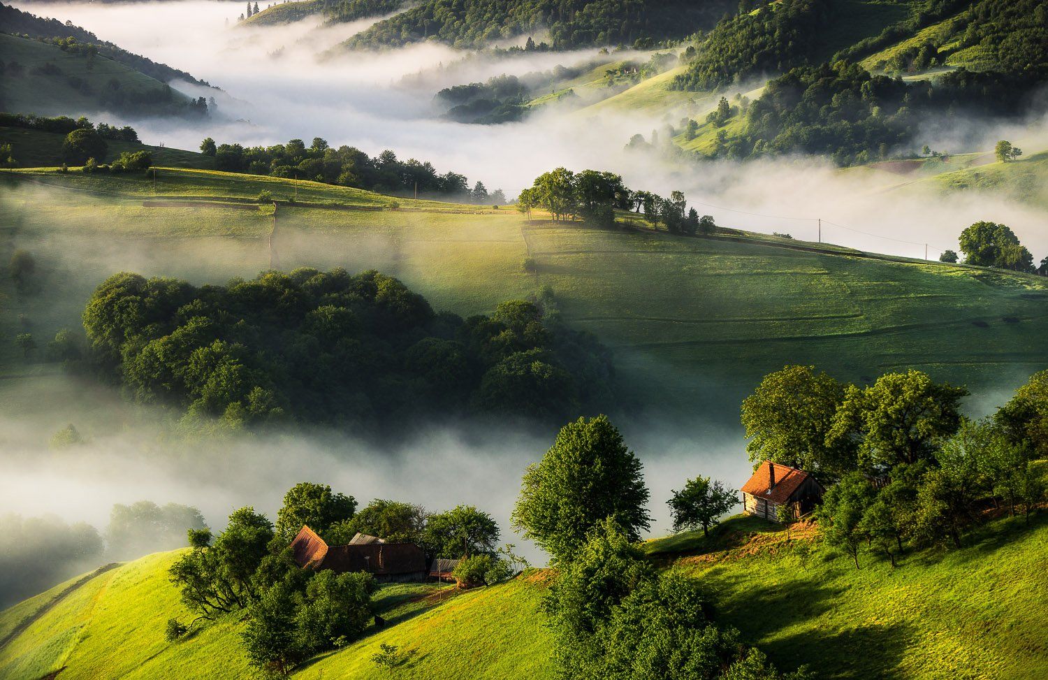 country side, fog, fog sunrise, hill, landscape, mountain people, nature, romania, transilvania, Ioan Chiriac