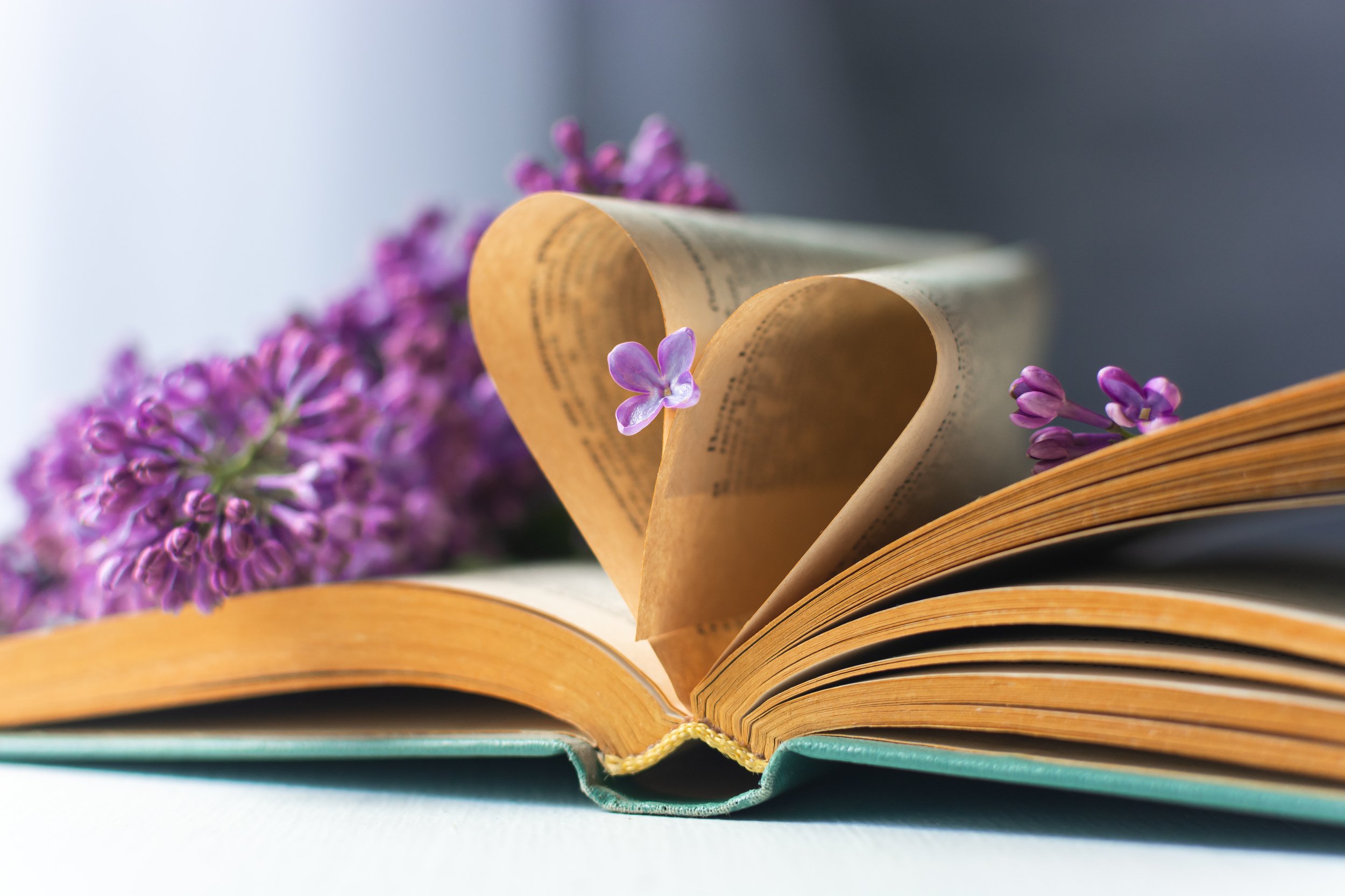весна, цветы, сирень, книга, любовь, сердце, страницы, Марина Мищенко